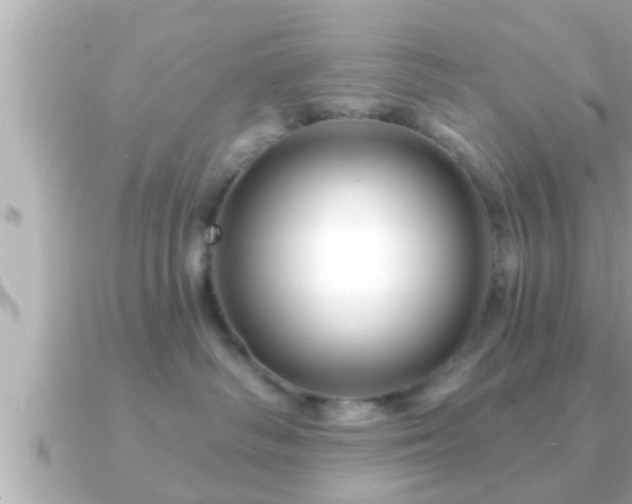 X0000090950334200708091332