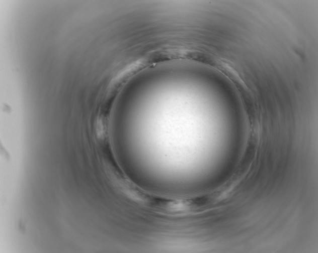 X0000090950335200708091332
