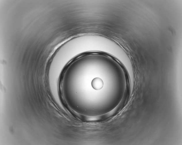 X0000090950338200708091332