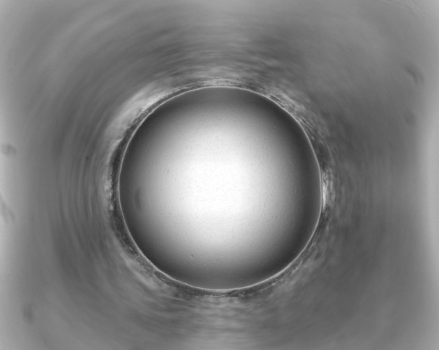 X0000090950339200708091332