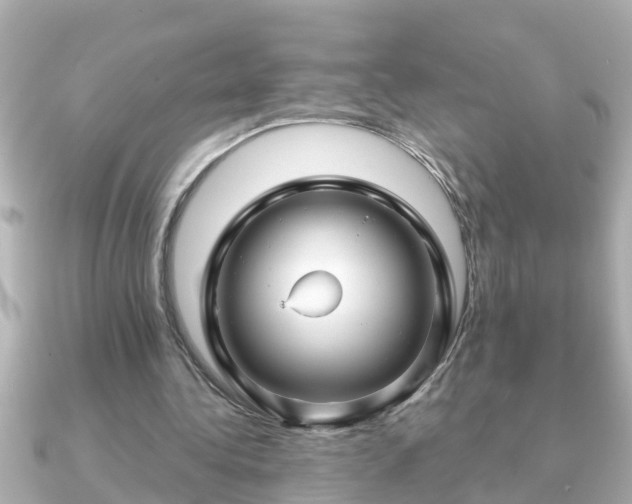 X0000090950340200708091332