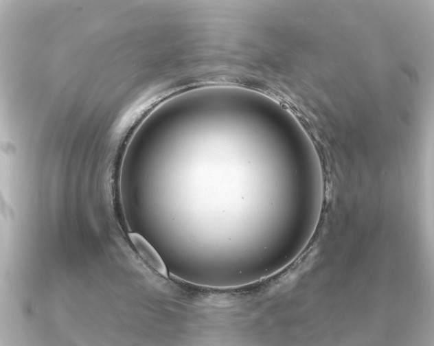 X0000090950341200708091332
