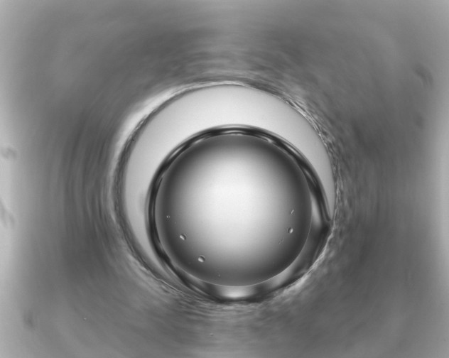 X0000090950342200708091332