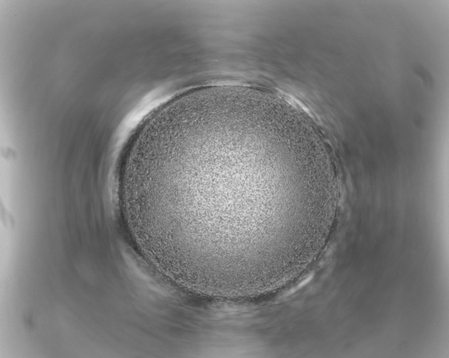X0000090950343200708091332