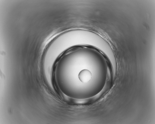 X0000090950344200708091332