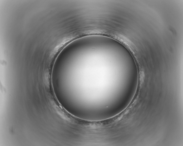 X0000090950345200708091332