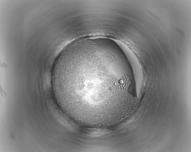 X0000090950347200708091332