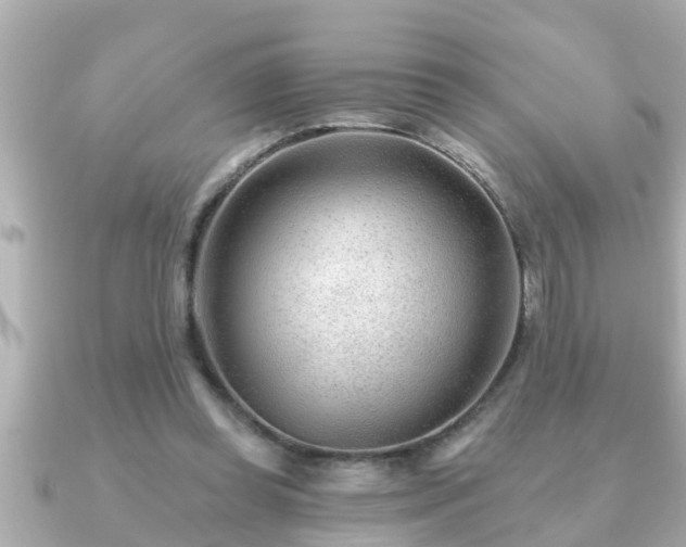 X0000090950349200708091332