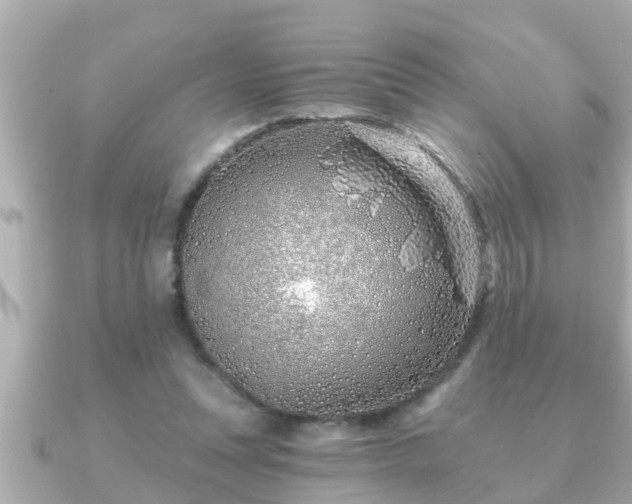 X0000090950351200708091332