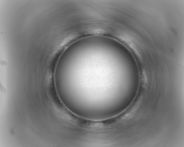 X0000090950355200708091332