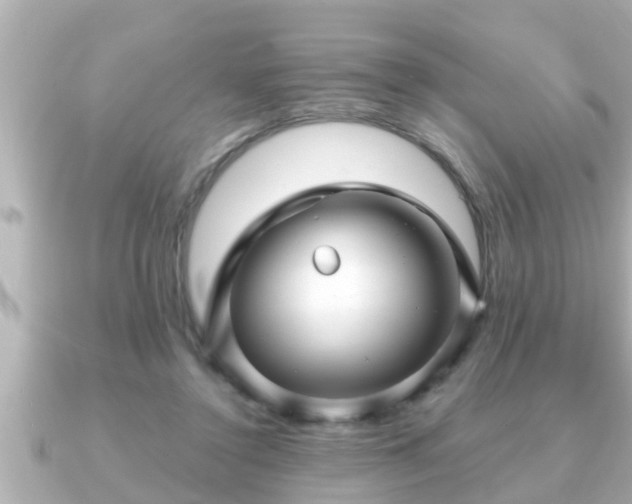 X0000090950356200708091332