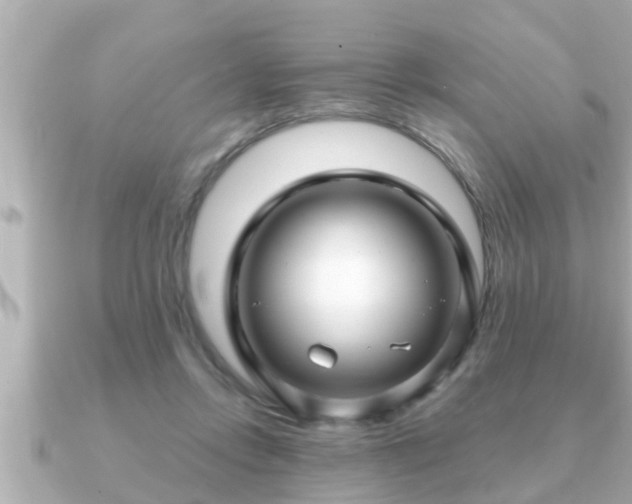 X0000090950358200708091332