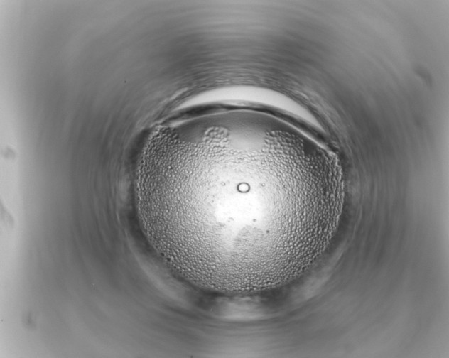 X0000090950359200708091332