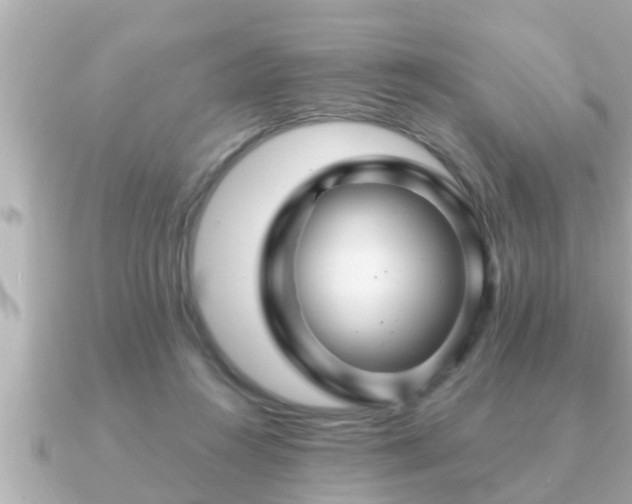 X0000090950360200708091332
