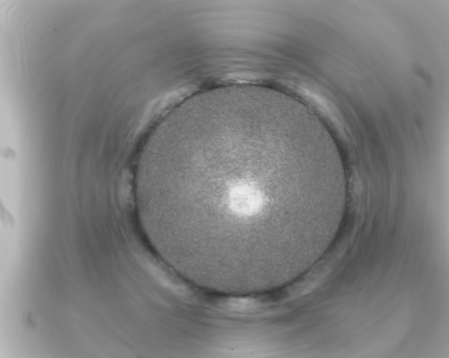 X0000090950361200708091332