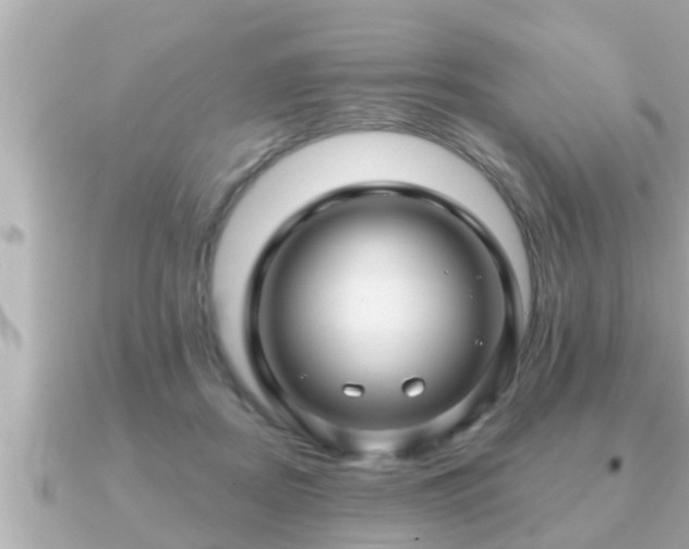 X0000090950362200708091332