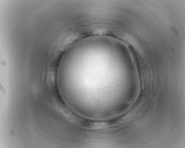 X0000090950363200708091332