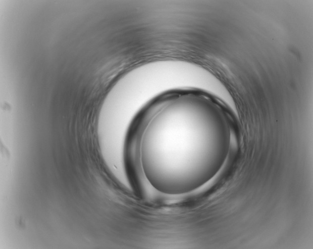 X0000090950364200708091332