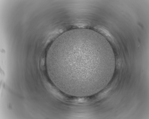X0000090950365200708091332
