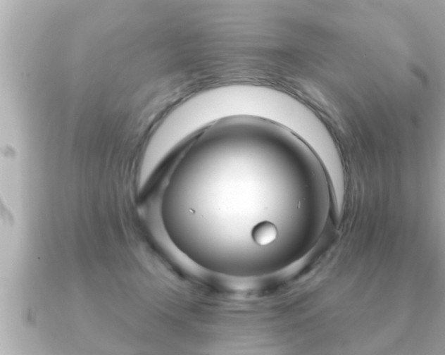 X0000090950366200708091332