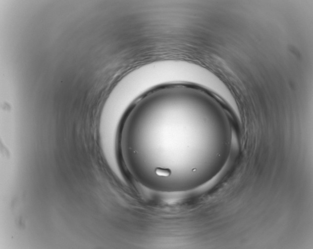 X0000090950368200708091332