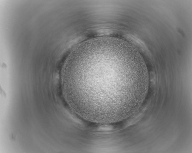 X0000090950369200708091332