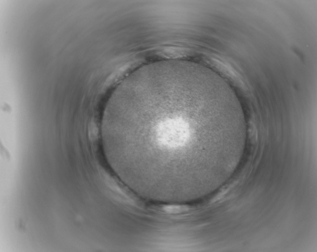 X0000090950371200708091332