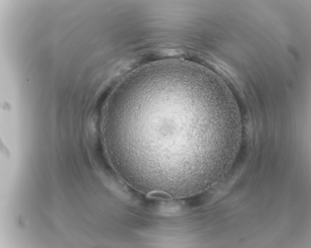 X0000090950373200708091332