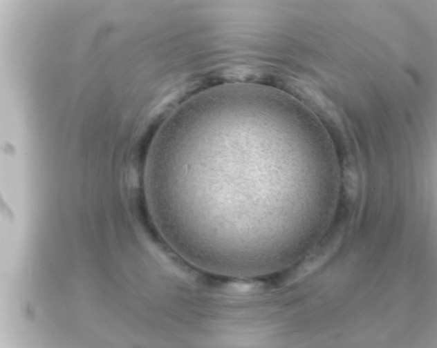 X0000090950375200708091332