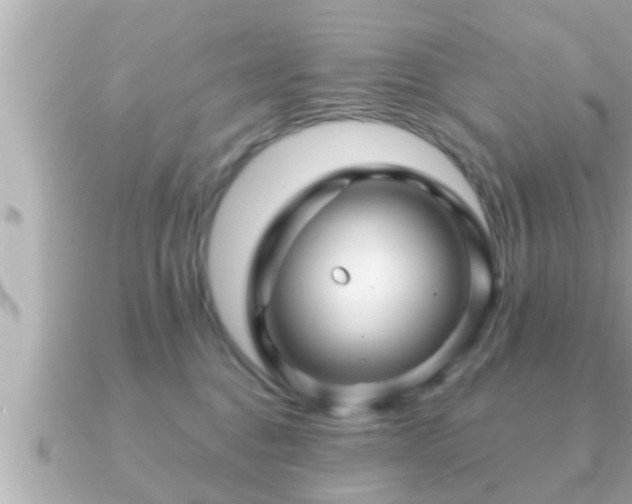 X0000090950376200708091332