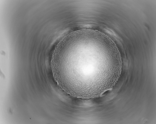 X0000090950377200708091332