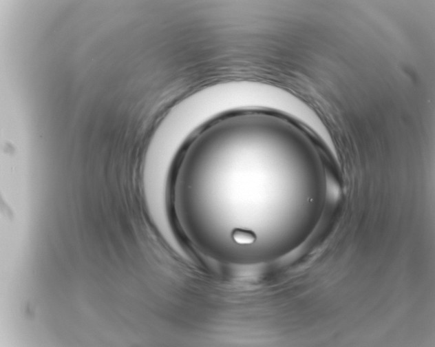 X0000090950378200708091332