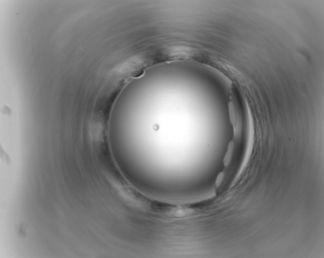 X0000090950379200708091332