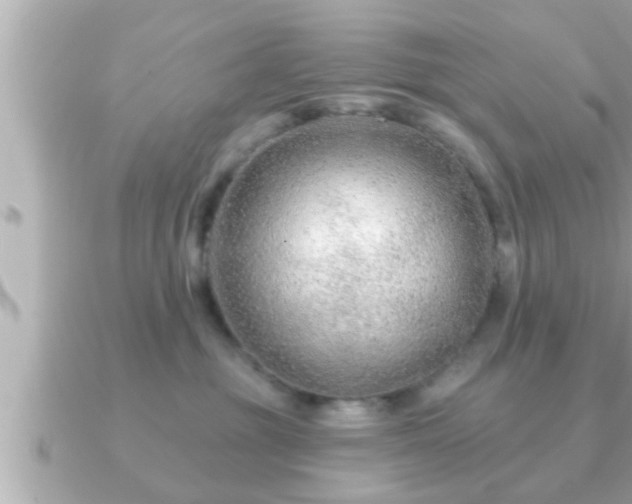 X0000090950381200708091332