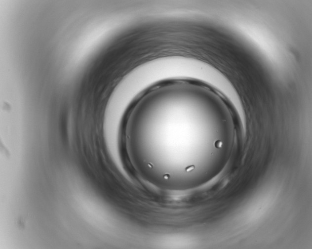 X0000090950382200708091332