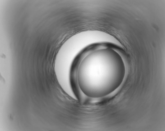 X0000090950384200708091332