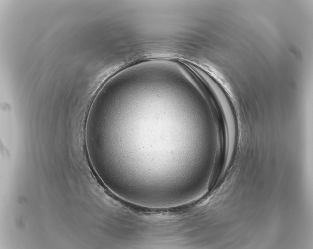 X0000090950385200708091332