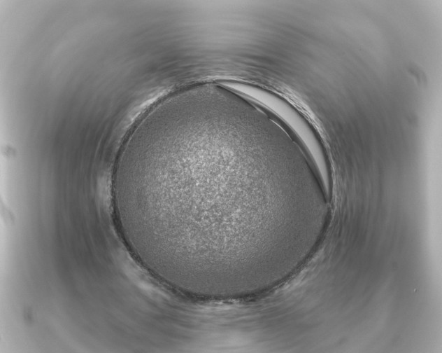 X0000090950386200708091332