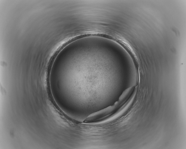 X0000090950387200708091332