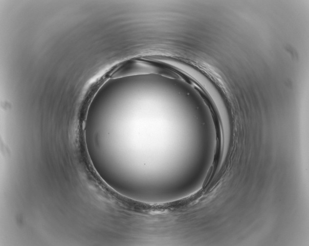X0000090950388200708091332