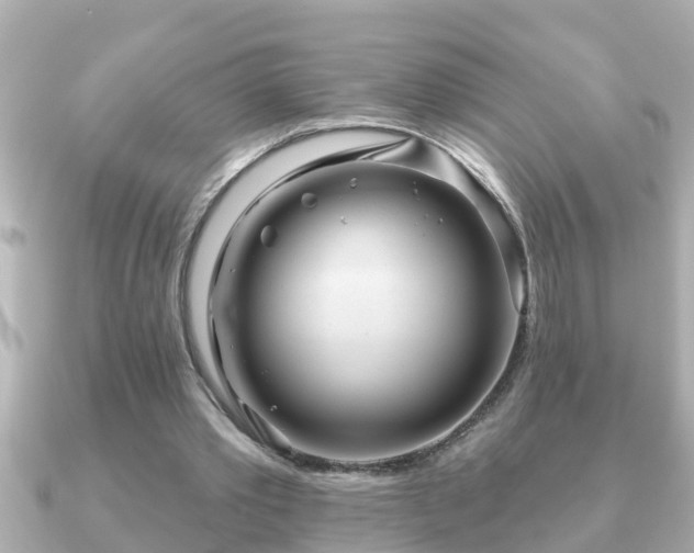 X0000090950389200708091332