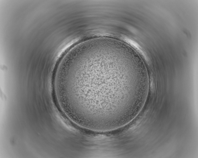 X0000090950390200708091332
