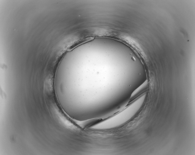 X0000090950393200708091332
