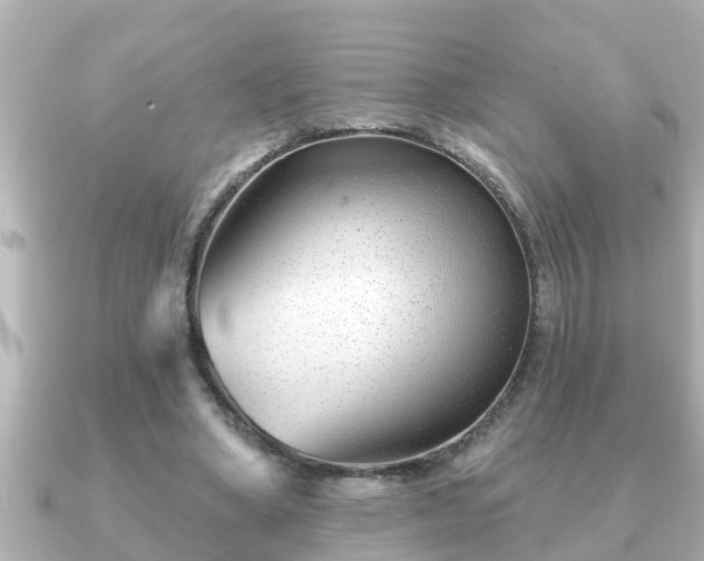 X0000090950394200708091332