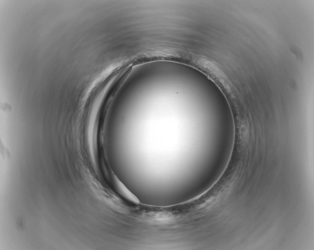 X0000090950395200708091332