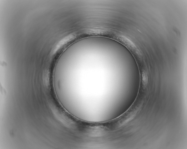X0000090950396200708091332