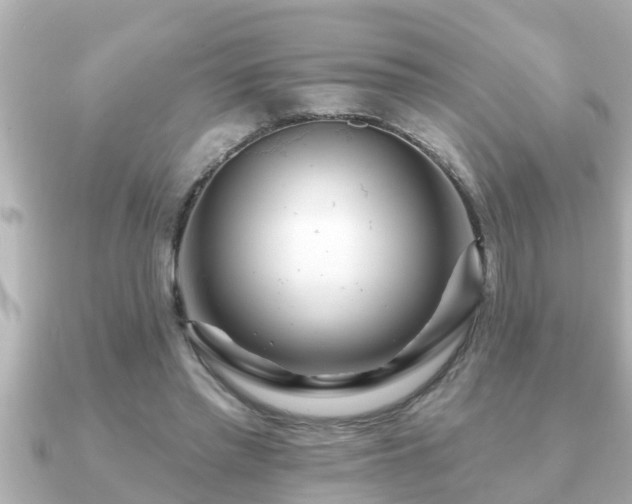 X0000090950397200708091332