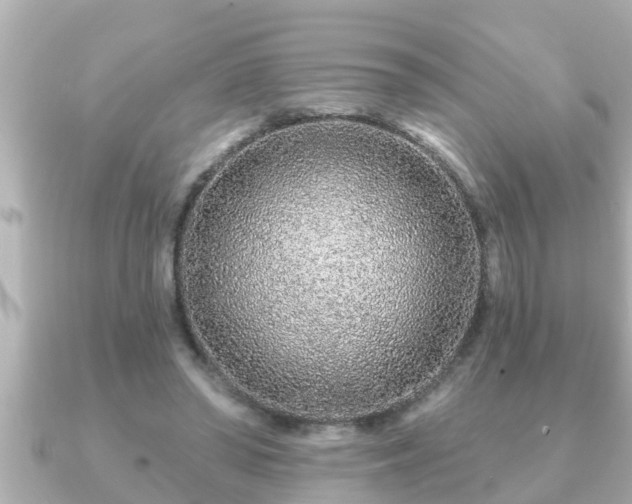 X0000090950398200708091332