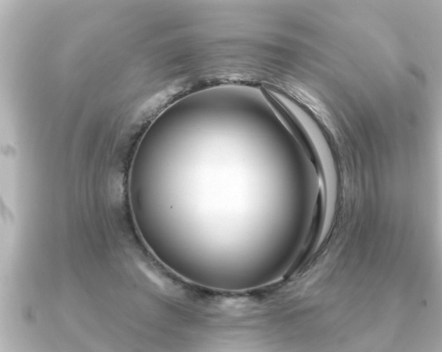 X0000090950401200708091332