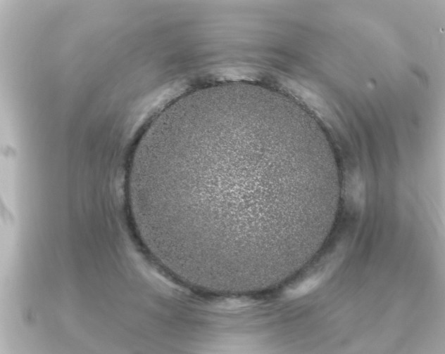 X0000090950402200708091332